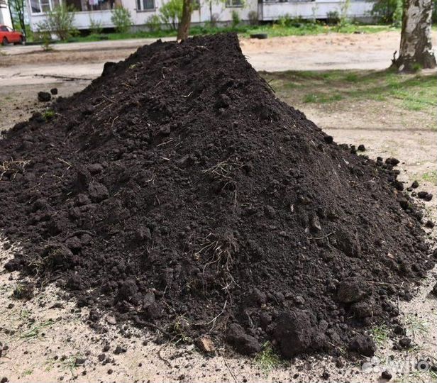 Чернозем