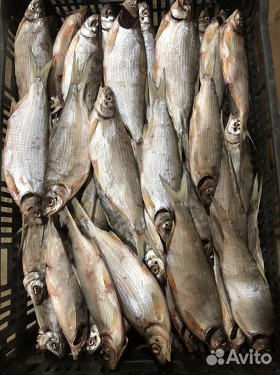 Рыба вяленая