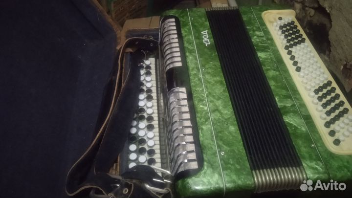 Баян тульский