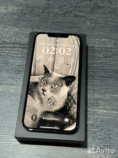 iPhone 12 Pro Max, 256 ГБ