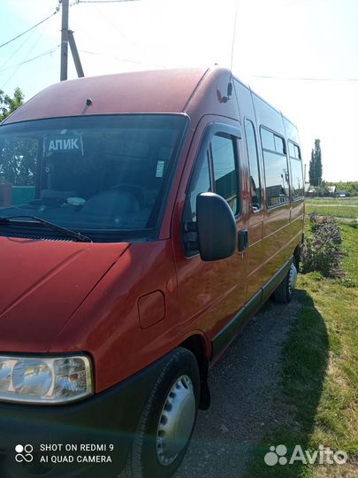Пассажирские перевозки микроавтобус