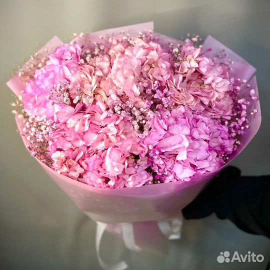 Гортензии, цена от производителя