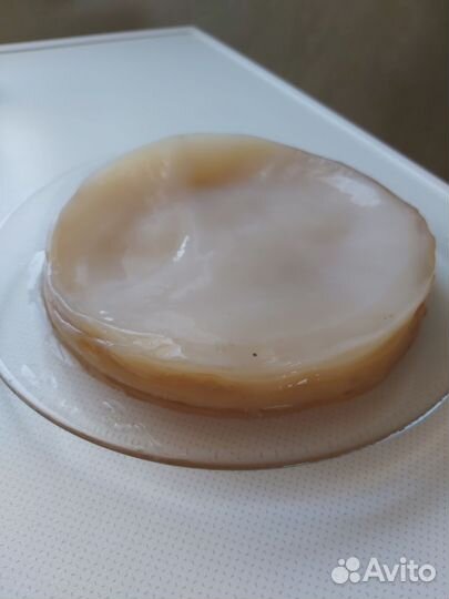 Чайный гриб или комбуча