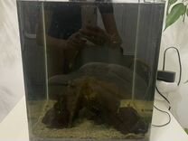 Gold d20 dice. D 20 l 1. дайс d144. днд кубик д20. D 20 l 1.