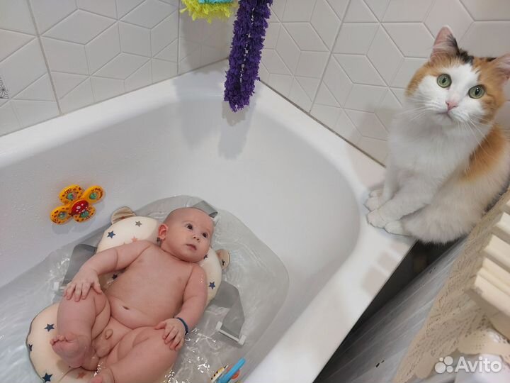 Ванна для купания новорожденных