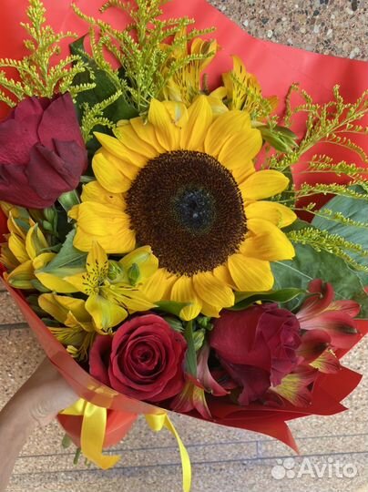 Подсолнухи цветы