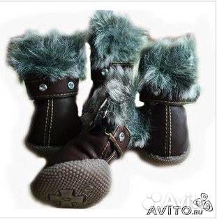 Ботиночки для собак