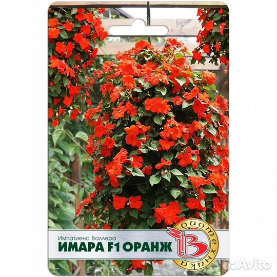 Импатиенс Валлера Имара F1 Оранж
