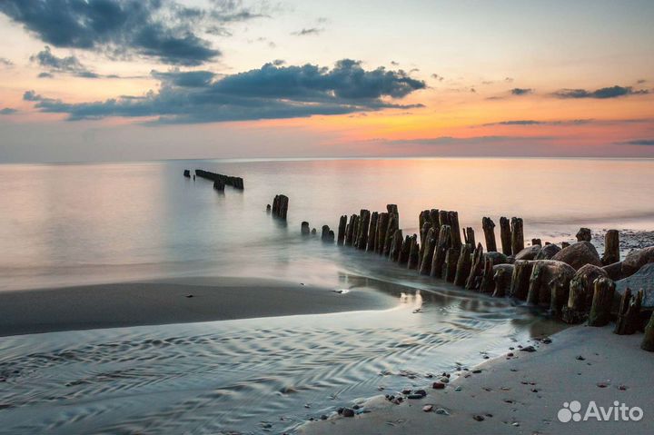 Индивидуальные экскурсии на куршскую косу