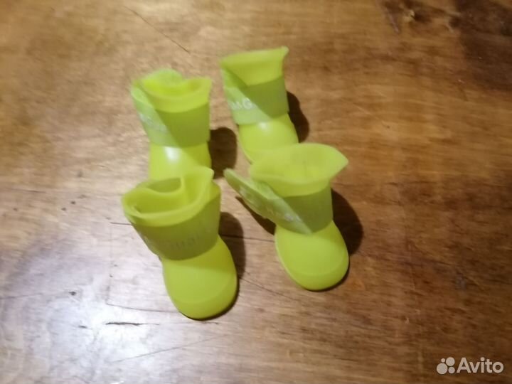 Одежда для собак