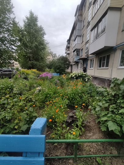 2-к. квартира, 42,3 м², 2/5 эт.