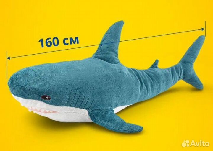 Акула 160 см
