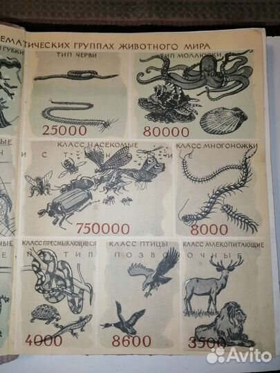 Советская Книга 