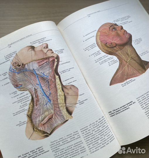 Редкий анатомический атлас, 4 том, Синельников