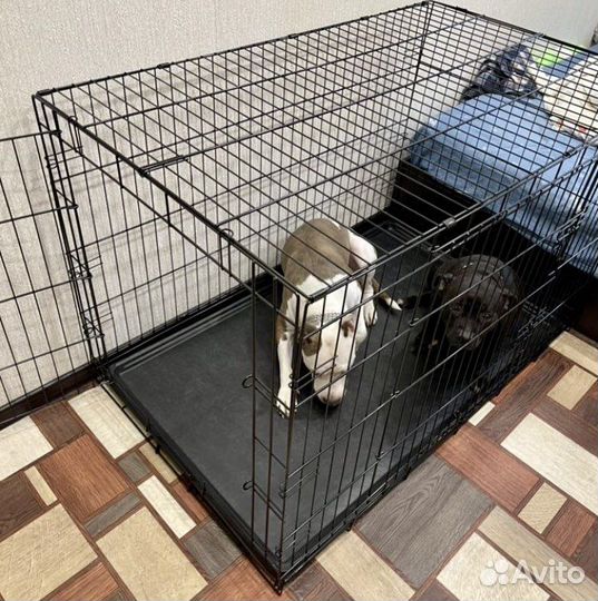Клетка для собак
