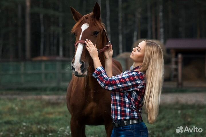 Отдых для семьи: катер + кони + беседка + бассейн