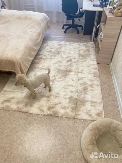 Ковёр бежевый 200х300