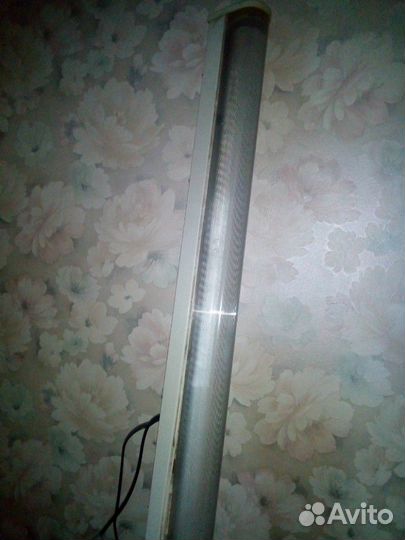 Дневного двух и одна л