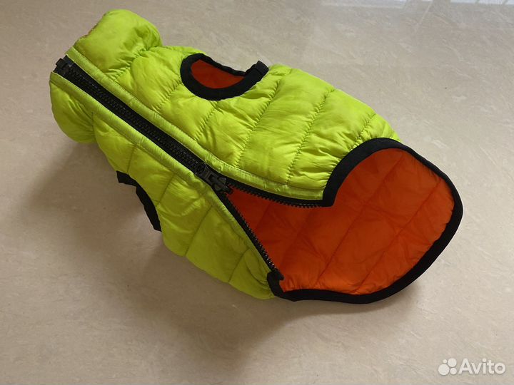 Одежда для собак