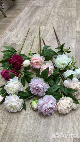 Ветка пион ботаническая копия, премиум класса