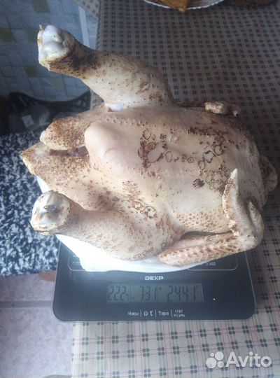 Продам мясо бройлера