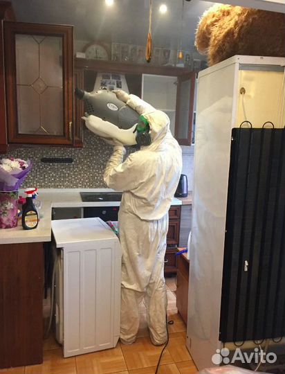 Уничтожение тараканов клопов дезинфекция