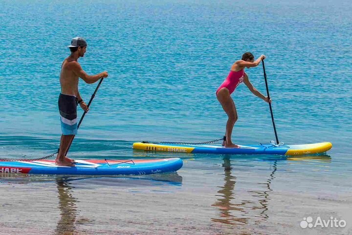 Sup board shark в ассортименте г.Сургут