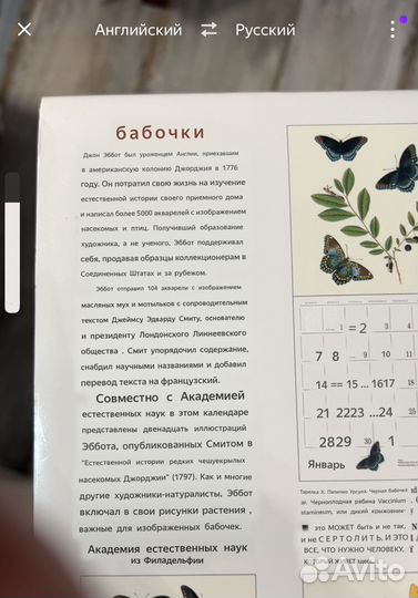 Календарь 2001г с изображением бабочек Д Эббота