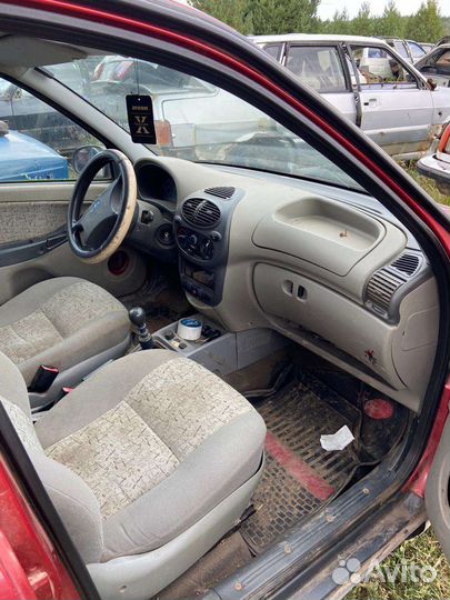 Калина разбор