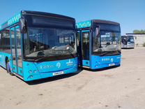 Городской автобус МАЗ 203069, 2016