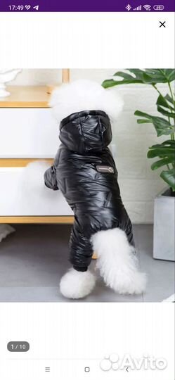 Комбинезон для собак мелких пород Arnydog