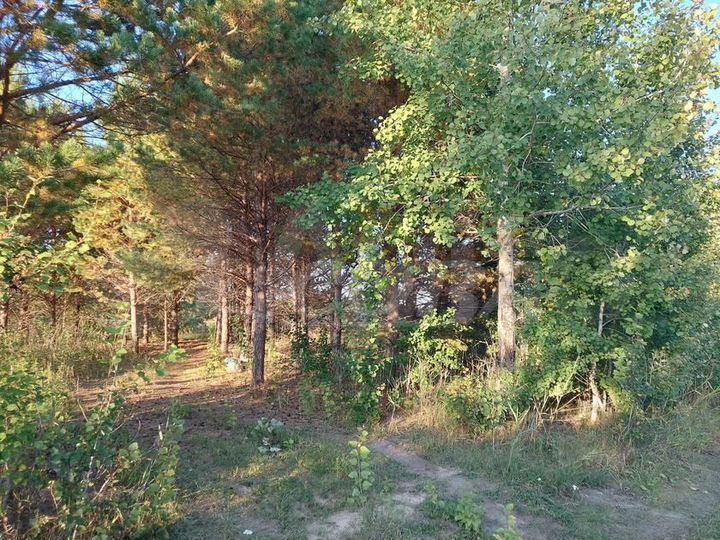 Участок 10 сот. (ИЖС)