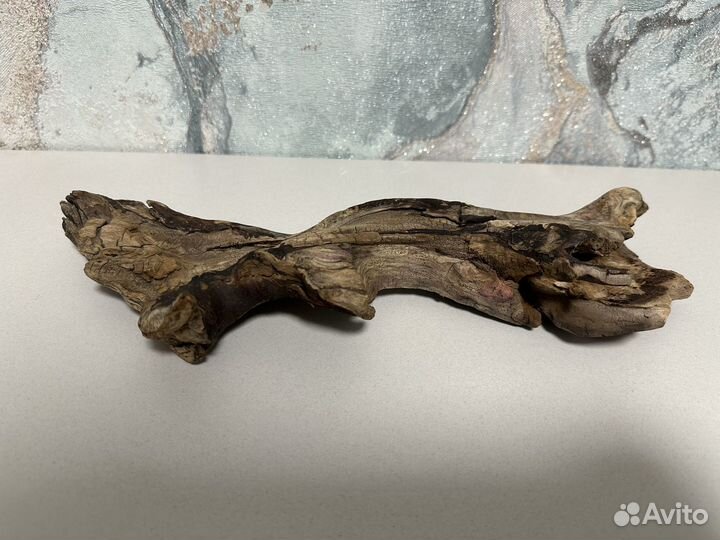 Коряги для террариума