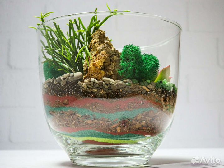 Флорариум террариум суккуленты подарок девушке