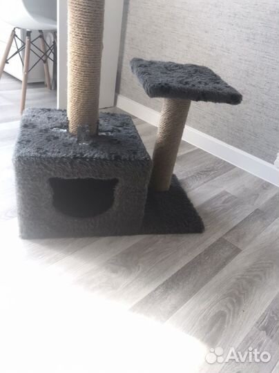 Комплекс для кошек