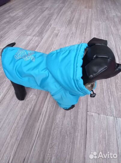 Одежда для маленьких собак