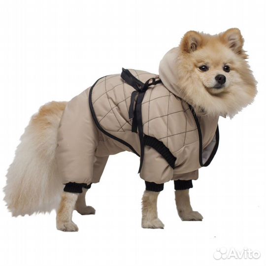 Одежда DogVille комплект 52127д костюм с жилетом