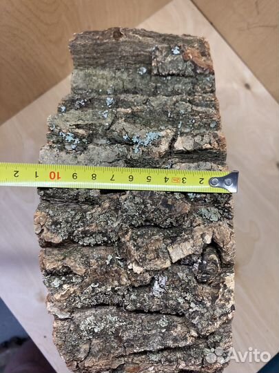 2 спила дуба для творчества