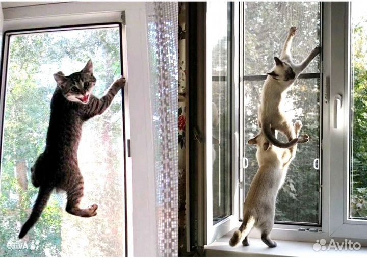 Москитная сетка на окно. Антикошка