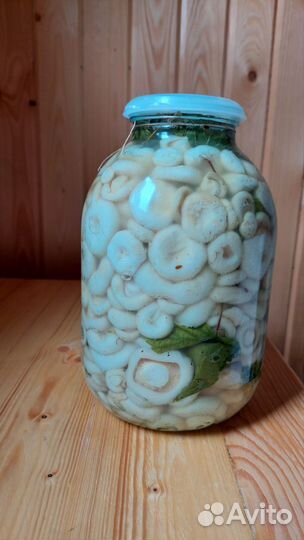 Белые грузди