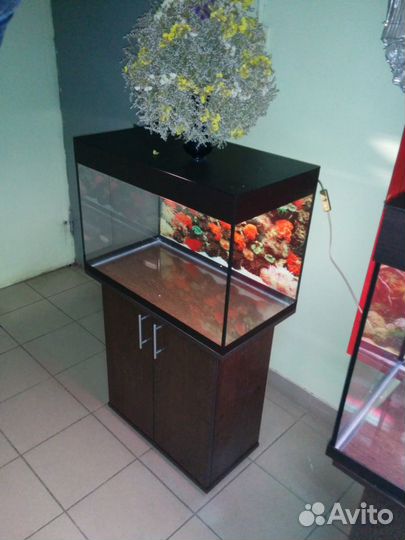 Аквариум100л. свет биофильтр фон, тумба