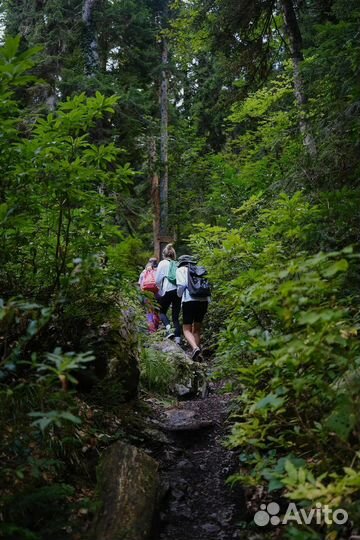 Йога - тур в Абхазию 18-22 октября