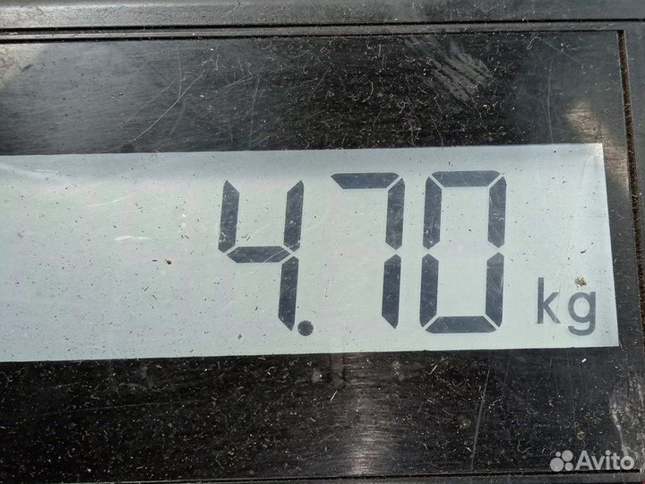 Электроусилитель руля для Opel Vectra C