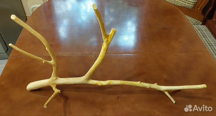 Коряга в аквариум