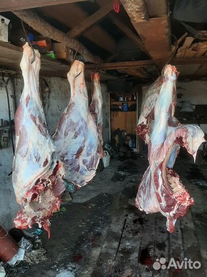 Говядина.Натуральное мясо из деревни