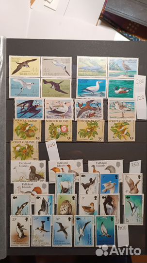 Марки фауна