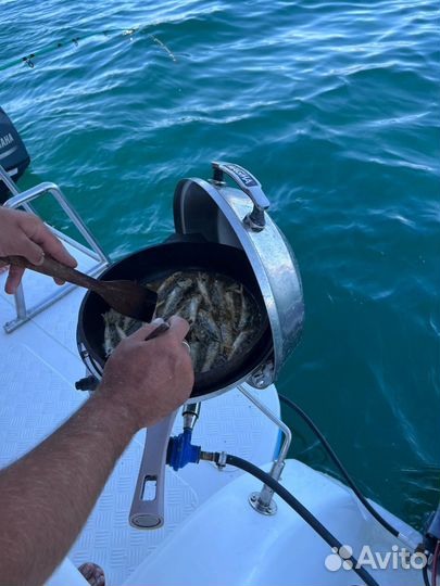 Рыбалка на море в Сочи