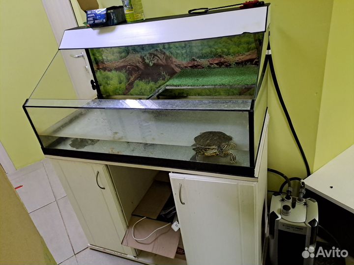 Террариум для красноухой черепахи