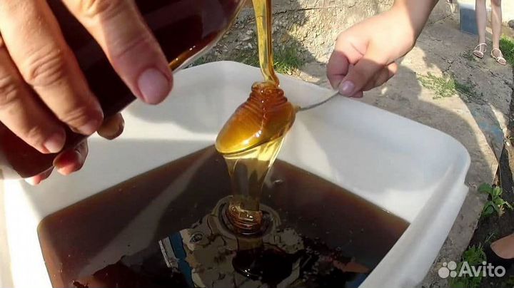 Гречишный мед с Алтая оптом