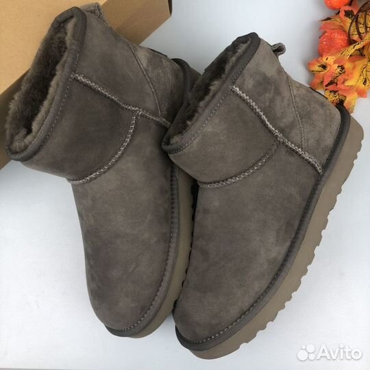 Угги женские Ugg Classic Mini II Grey